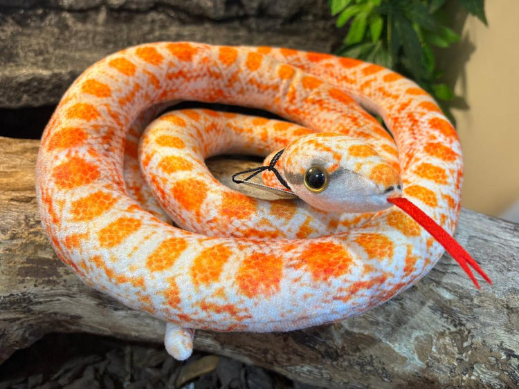 Plush toys available at Sydney Reptiles, featuring adorable reptiles such as lizards, Snakes, frogs and spiders. These soft, cuddly toys are perfect for any reptile enthusiasts.