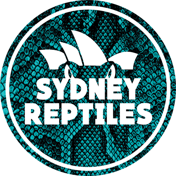 Sydney Reptiles 