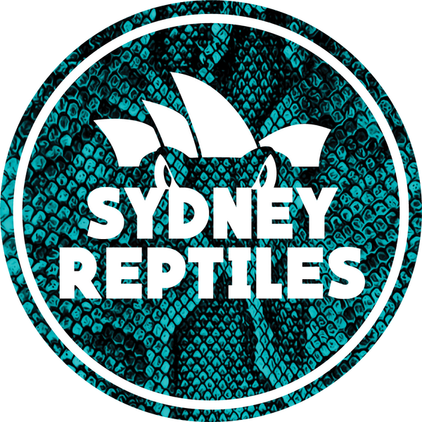 Sydney Reptiles