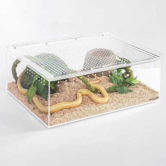 "Reptile enclosure available at Sydney Reptiles, designed to provide a safe and comfortable habitat for various reptiles. Ideal for Bearded Dragons, Snakes, Bluetongue Lizards, and Monitor Lizards, this high-quality enclosure offers ample space, proper ventilation, and secure locking systems to meet the needs of your pet. Perfect for creating an environment that supports your reptiles' natural behavior and health."