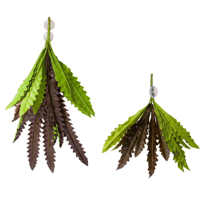 Reptile enclosure decorations available at Sydney Reptiles, designed to enhance your pet’s habitat with realistic and safe decorations. Perfect for Bearded Dragons, Snakes, Bluetongue Lizards, and Monitor Lizards, these decorations create a natural, enriching environment that promotes exploration and hides. Add a touch of the wild to your reptile's home with rocks, plants, logs, and other accessories that provide both visual appeal and functional benefits for your pet's well-being.