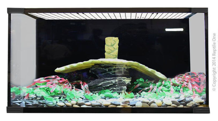 At Sydney Reptiles, we know that your turtle deserves more than just a tank – they deserve a thriving aquatic world. That’s why we offer a full range of premium turtle tanks and hand-picked accessories designed to keep your shelled friend healthy, happy, and active.
