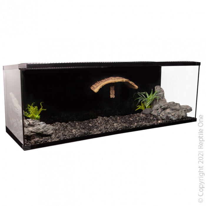 At Sydney Reptiles, we know that your turtle deserves more than just a tank – they deserve a thriving aquatic world. That’s why we offer a full range of premium turtle tanks and hand-picked accessories designed to keep your shelled friend healthy, happy, and active.