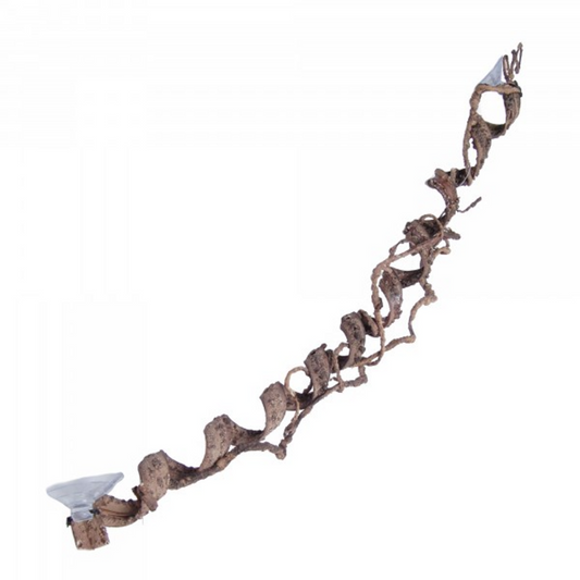 Reptile enclosure decorations available at Sydney Reptiles, designed to enhance your pet’s habitat with realistic and safe decorations. Perfect for Bearded Dragons, Snakes, Bluetongue Lizards, and Monitor Lizards, these decorations create a natural, enriching environment that promotes exploration and hides. Add a touch of the wild to your reptile's home with rocks, plants, logs, and other accessories that provide both visual appeal and functional benefits for your pet's well-being.