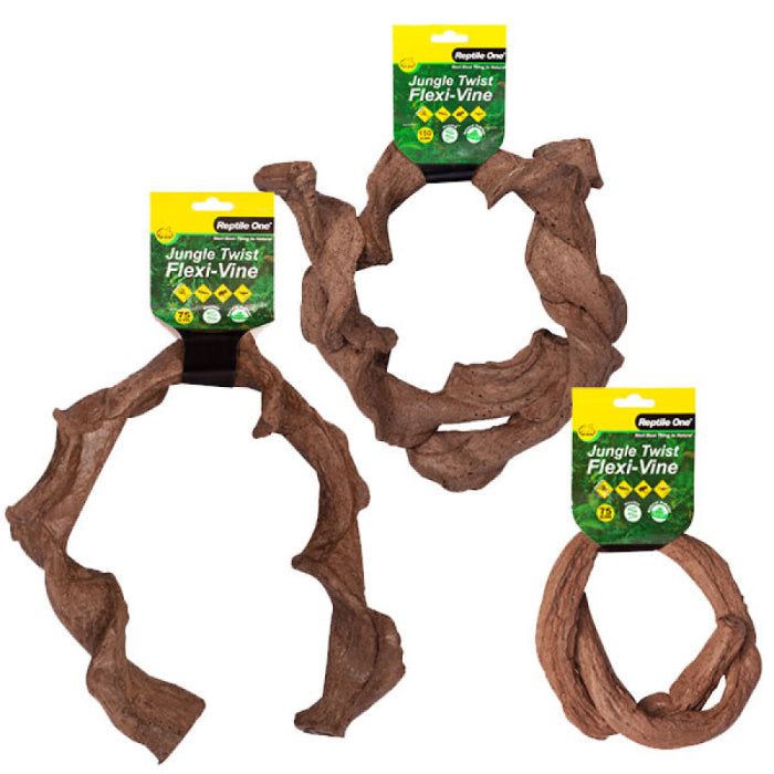 Reptile enclosure decorations available at Sydney Reptiles, designed to enhance your pet’s habitat with realistic and safe decorations. Perfect for Bearded Dragons, Snakes, Bluetongue Lizards, and Monitor Lizards, these decorations create a natural, enriching environment that promotes exploration and hides. Add a touch of the wild to your reptile's home with rocks, plants, logs, and other accessories that provide both visual appeal and functional benefits for your pet's well-being.