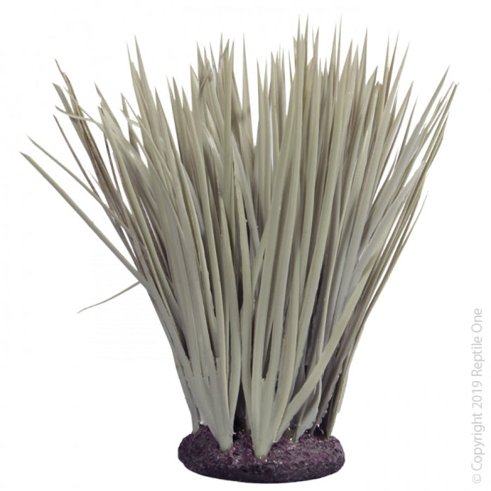 Reptile enclosure decorations available at Sydney Reptiles, designed to enhance your pet’s habitat with realistic and safe decorations. Perfect for Bearded Dragons, Snakes, Bluetongue Lizards, and Monitor Lizards, these decorations create a natural, enriching environment that promotes exploration and hides. Add a touch of the wild to your reptile's home with rocks, plants, logs, and other accessories that provide both visual appeal and functional benefits for your pet's well-being.