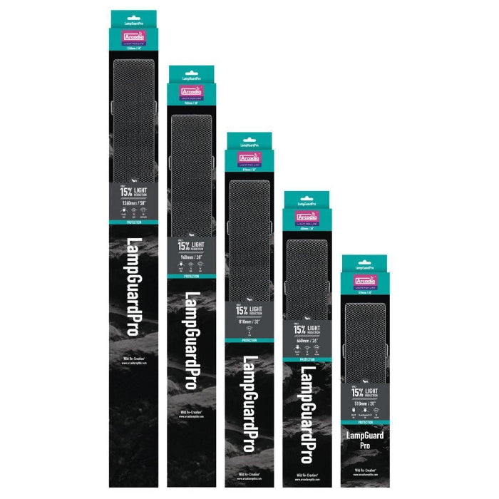 Reptile heat light available at Sydney Reptiles, designed to provide essential warmth for reptiles like Bearded Dragons, Snakes, Bluetongue Lizards, and Monitor Lizards. This high-quality heat source helps regulate your pet's body temperature, promoting healthy digestion and overall well-being. Perfect for creating a suitable basking spot and enhancing your reptiles' habitat with the right temperature range for their needs