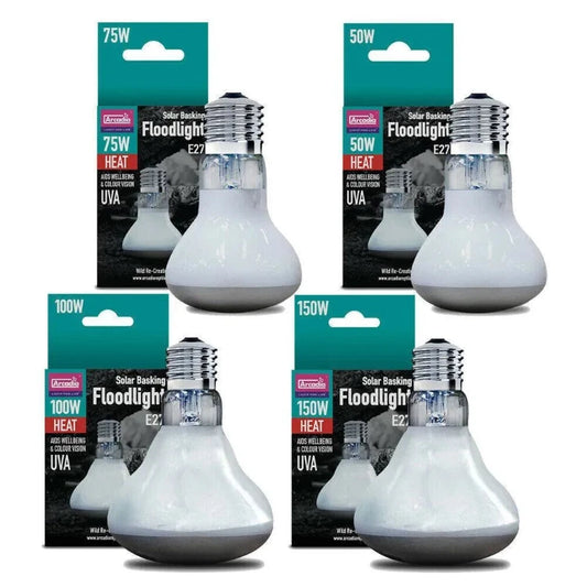 Reptile heat light available at Sydney Reptiles, designed to provide essential warmth for reptiles like Bearded Dragons, Snakes, Bluetongue Lizards, and Monitor Lizards. This high-quality heat source helps regulate your pet's body temperature, promoting healthy digestion and overall well-being. Perfect for creating a suitable basking spot and enhancing your reptiles' habitat with the right temperature range for their needs