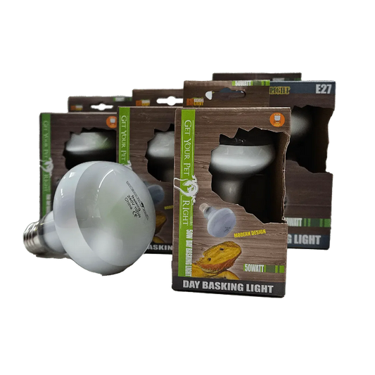 Reptile heat light available at Sydney Reptiles, designed to provide essential warmth for reptiles like Bearded Dragons, Snakes, Bluetongue Lizards, and Monitor Lizards. This high-quality heat source helps regulate your pet's body temperature, promoting healthy digestion and overall well-being. Perfect for creating a suitable basking spot and enhancing your reptiles' habitat with the right temperature range for their needs