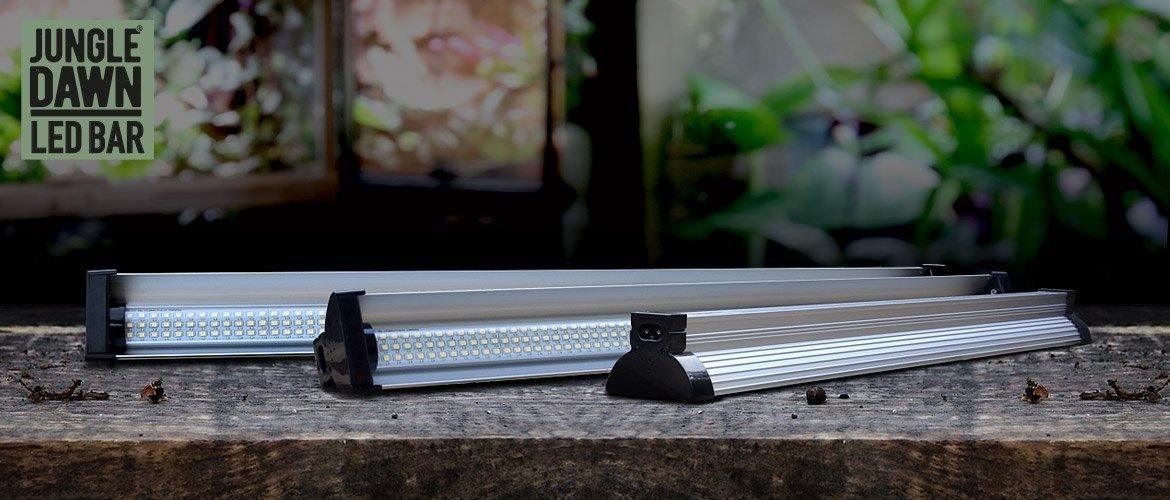 Reptile Lighting from Sydney Reptiles provide optimal lighting for your Bearded dragon, snakes, Bluetongue lizards, and monitor lizards. Designed to enhance your reptiles' habitat and promote natural behaviours.