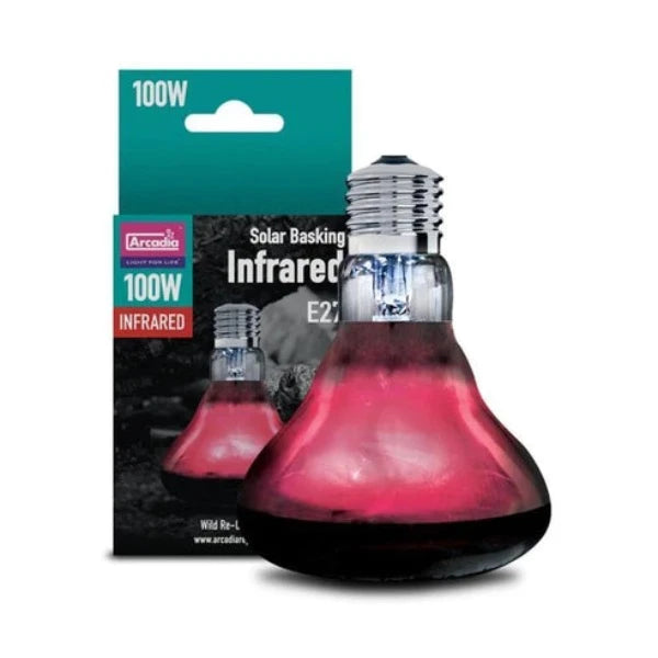 Reptile heat light available at Sydney Reptiles, designed to provide essential warmth for reptiles like Bearded Dragons, Snakes, Bluetongue Lizards, and Monitor Lizards. This high-quality heat source helps regulate your pet's body temperature, promoting healthy digestion and overall well-being. Perfect for creating a suitable basking spot and enhancing your reptiles' habitat with the right temperature range for their needs