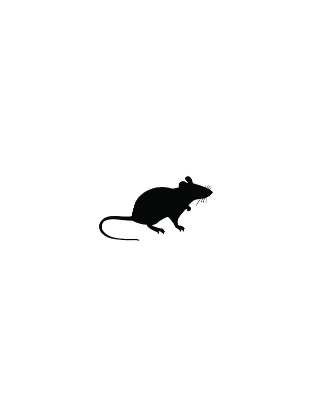 10pk Pinky Rats