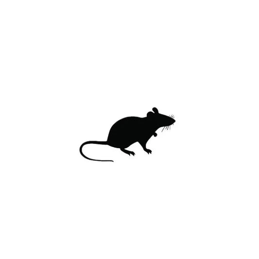 5pk Hopper Rats