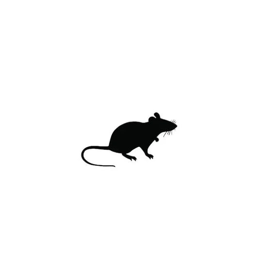 5pk Medium Adult Rats