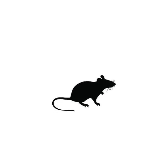5pk Small Adult Rats