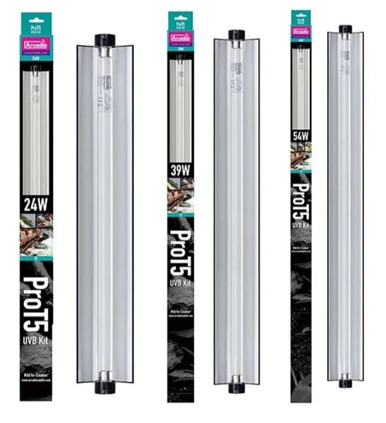 Reptile UVB lighting available at Sydney Reptiles, designed to provide essential ultraviolet light for reptiles such as Bearded Dragons, Snakes, Bluetongue Lizards, and Monitor Lizards. This high-quality UVB light helps regulate your pet's calcium metabolism, supports proper bone development, and promotes overall health by mimicking natural sunlight. Perfect for ensuring your reptiles receive the necessary UVB exposure for optimal well-being