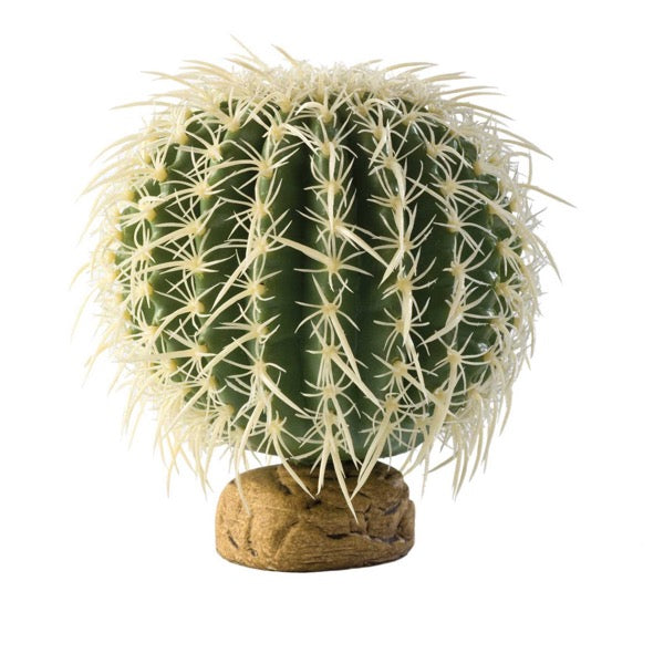 Exo Terra Barrel Cactus