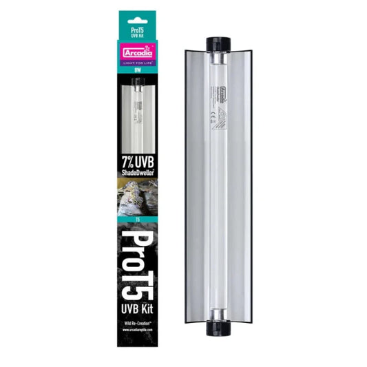 Reptile UVB lighting available at Sydney Reptiles, designed to provide essential ultraviolet light for reptiles such as Bearded Dragons, Snakes, Bluetongue Lizards, and Monitor Lizards. This high-quality UVB light helps regulate your pet's calcium metabolism, supports proper bone development, and promotes overall health by mimicking natural sunlight. Perfect for ensuring your reptiles receive the necessary UVB exposure for optimal well-being