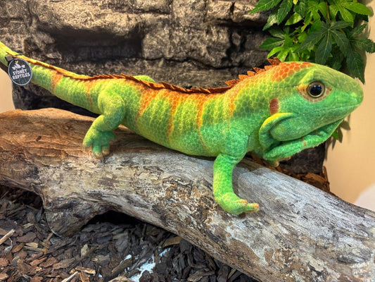 Plush toys for children available at Sydney Reptiles, featuring adorable, realistic replicas of reptiles such as Bearded Dragons, Snakes, Bluetongue Lizards, and Monitor Lizards. These soft, cuddly toys are perfect for young reptile enthusiasts, offering a fun and educational way to learn about different species. A great gift for children who love reptiles, providing hours of imaginative play while showcasing the beauty of these amazing creatures.