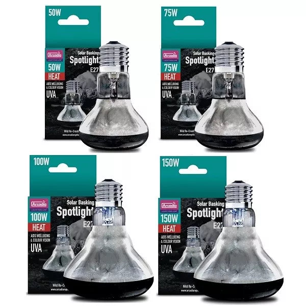 Reptile heat light available at Sydney Reptiles, designed to provide essential warmth for reptiles like Bearded Dragons, Snakes, Bluetongue Lizards, and Monitor Lizards. This high-quality heat source helps regulate your pet's body temperature, promoting healthy digestion and overall well-being. Perfect for creating a suitable basking spot and enhancing your reptiles' habitat with the right temperature range for their needs